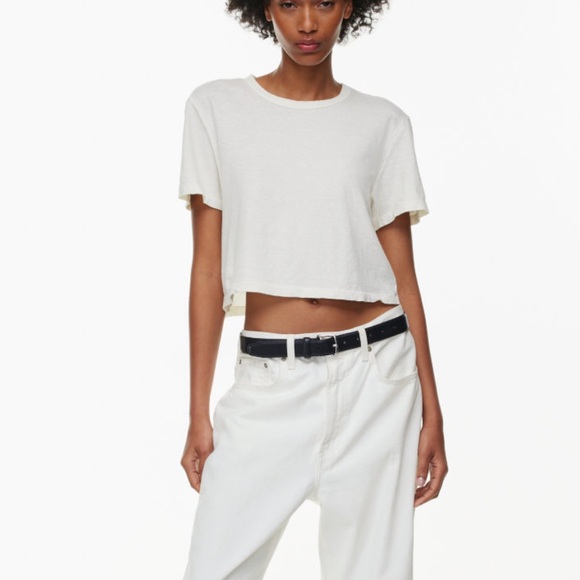 Aritzia Denim Forum The Vintage Cropped T-Shirt - Picture 3 of 8